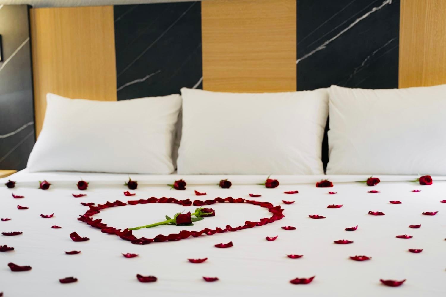 Hotel Real Plaza San Luis Potosí Eksteriør billede